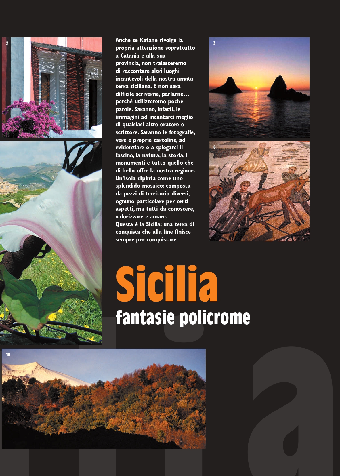 katane021208_compressed_page-0033