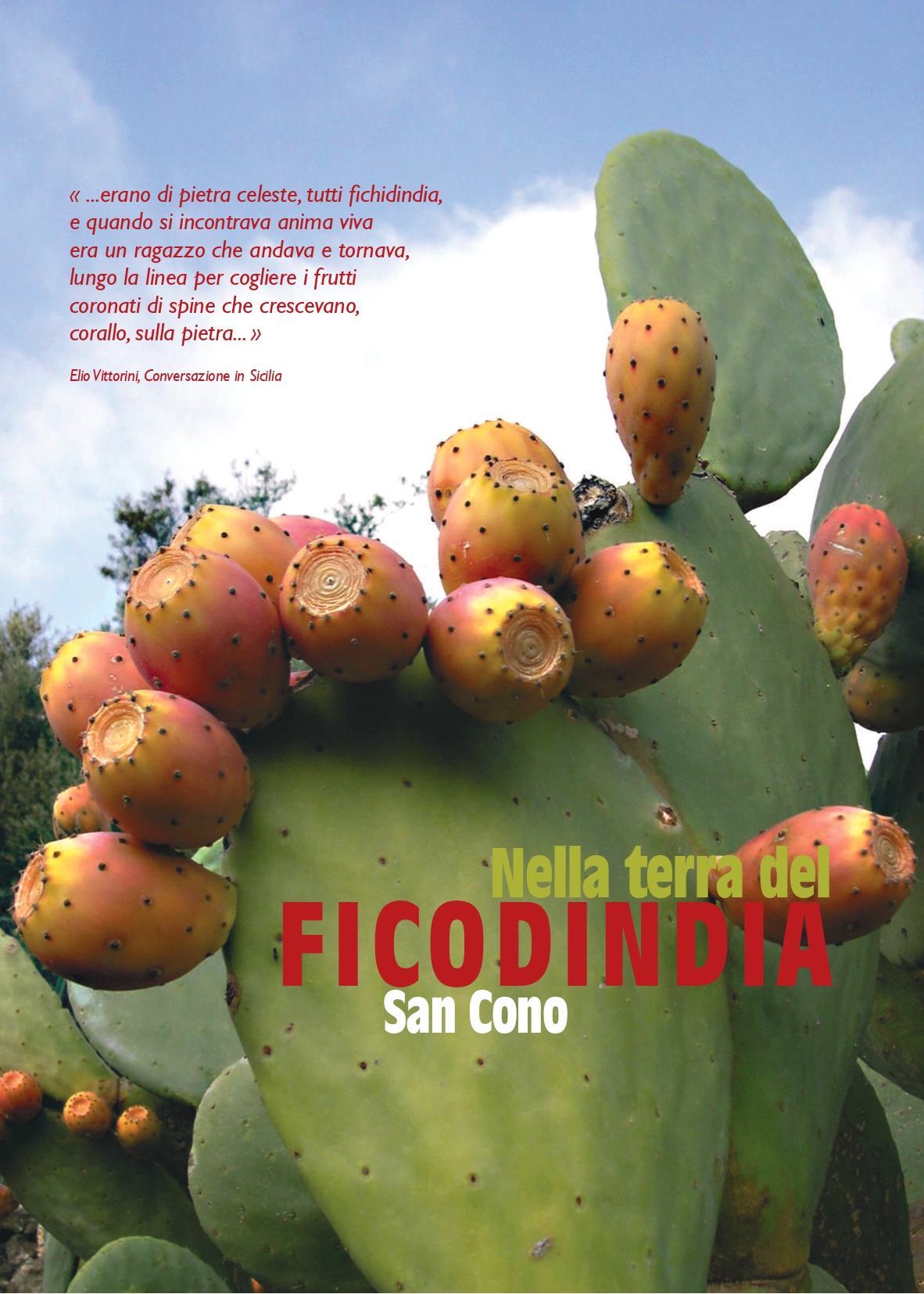 katane021208_compressed_page-0035