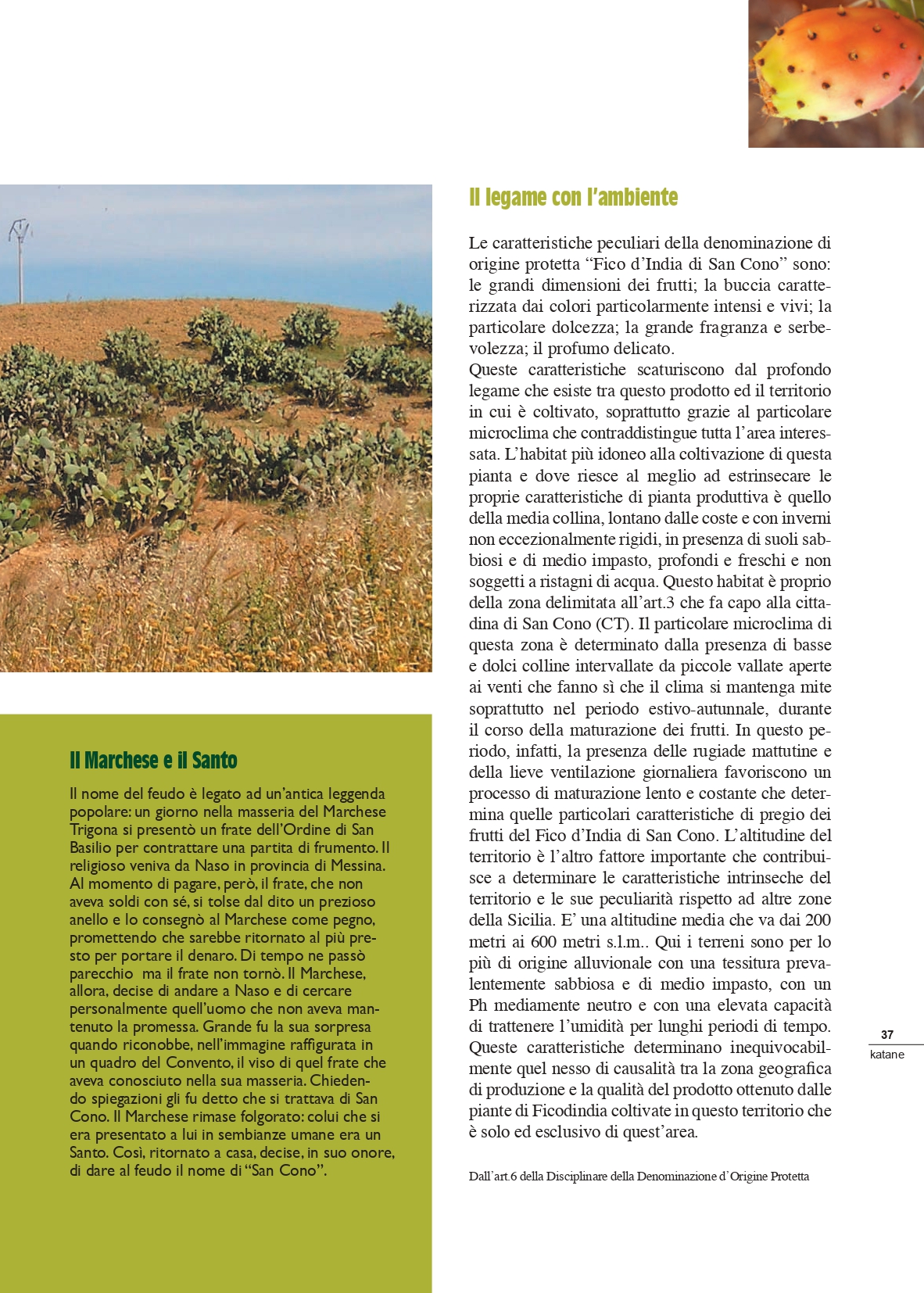 katane021208_compressed_page-0037